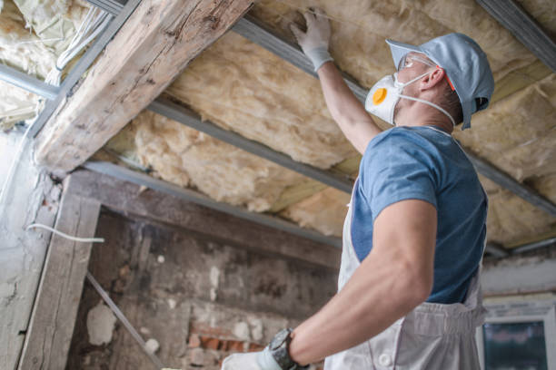 Best Insulation Maintenance and Repair in Morgandale, OH