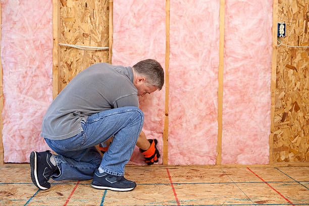 Best Geographic-Specific Insulation Services in Morgandale, OH